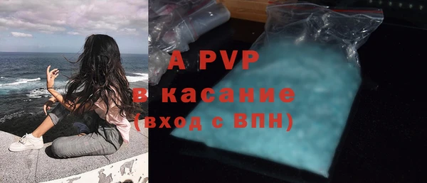 сатива Белоозёрский