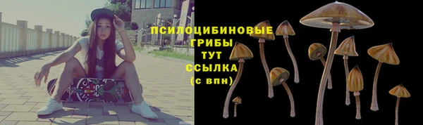 дмт Беломорск