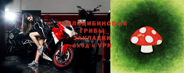 сатива Белоозёрский
