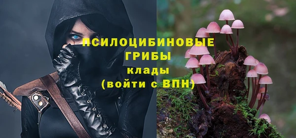 дмт Беломорск