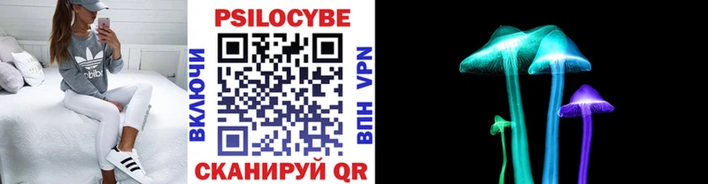 Галлюциногенные грибы Cubensis  где найти   Гремячинск 
